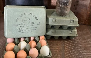 Beef – Premium Quality Meat